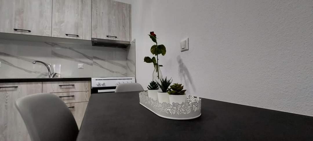 Milias Apartment'S イエリソス 部屋 写真